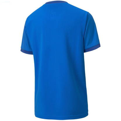 Koszulka dla dzieci Puma teamGOAL 23 Jersey niebieska 704160 02