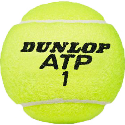 Piłki do tenisa ziemnego Dunlop Championship 4 szt