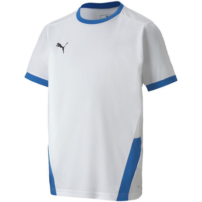 Koszulka dla dzieci Puma teamGOAL 23 Jersey biało-niebieska 704160 12