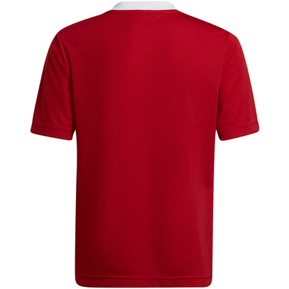 Koszulka dla dzieci adidas Entrada 22 Jsy czerwona H57496