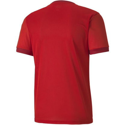Koszulka męska Puma teamGOAL 23 Jersey czerwona 704171 01