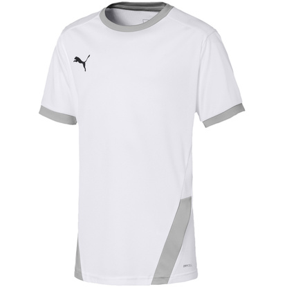 Koszulka dla dzieci Puma teamGOAL 23 Jersey biała 704160 04
