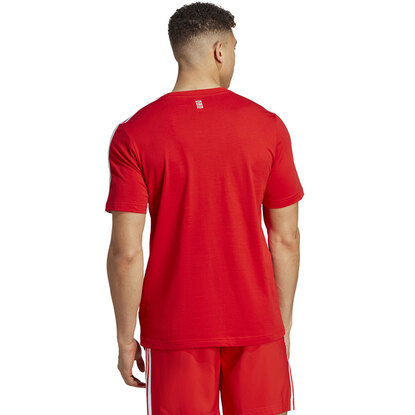 Koszulka męska adidas FC Bayern Tee czerwona HY3280