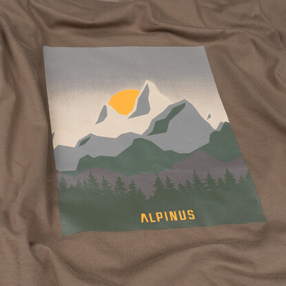 Koszulka męska Alpinus Numbur brązowa FU18506