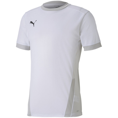 Koszulka męska Puma teamGOAL 23 Jersey biała 704171 04