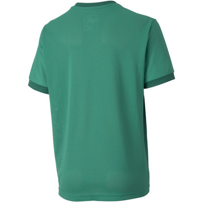 Koszulka dla dzieci Puma teamGOAL 23 Jersey zielona 704160 05