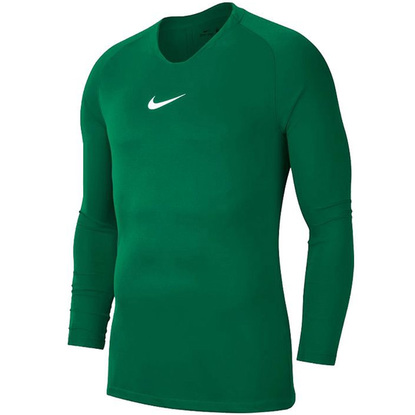 Koszulka męska Nike Dry Park First Layer JSY LS zielona AV2609 302