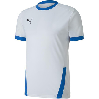 Koszulka męska Puma teamGOAL 23 Jersey biało-niebieska 704171 12