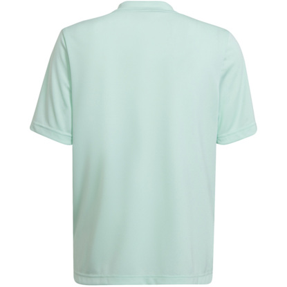 Koszulka dla dzieci adidas Entrada 22 Graphic Jersey miętowo-szara HF0127