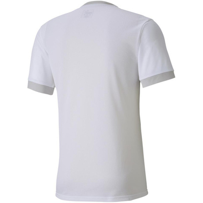 Koszulka męska Puma teamGOAL 23 Jersey biała 704171 04