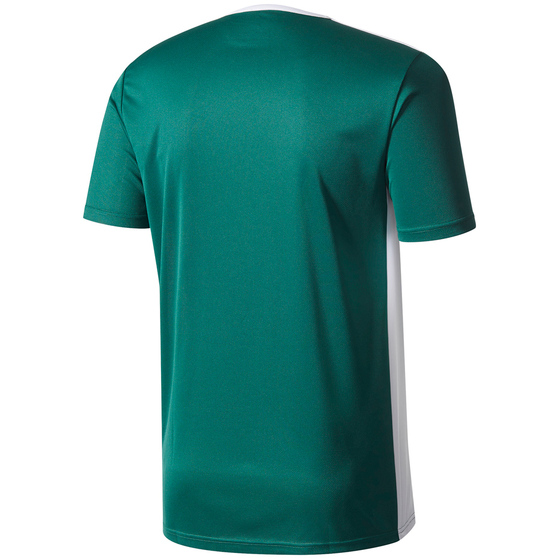 Koszulka dla dzieci adidas Entrada 18 Jersey JUNIOR zielona CE9563