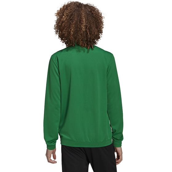 Bluza męska adidas Entrada 22 Track Jacket zielona HI2135