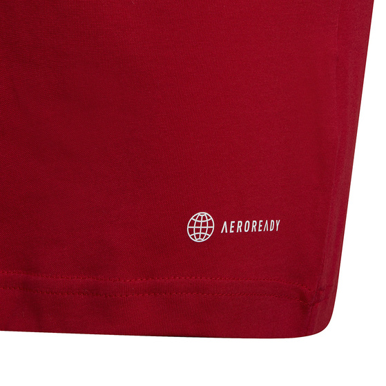 Koszulka dla dzieci adidas Entrada 22 Tee czerwona HC0446
