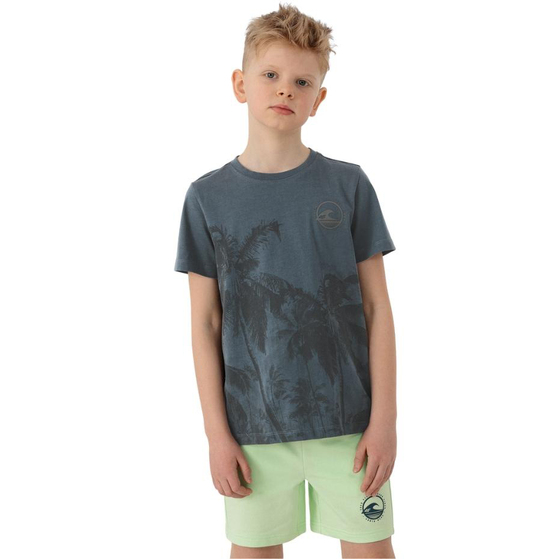 Koszulka dla chłopca 4F jasnoniebieski HJL22 JTSM013 34S