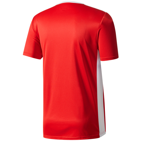 Koszulka męska adidas Entrada 18 Jersey czerwona CF1038
