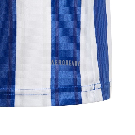 Koszulka dla dzieci adidas Striped 21 Jersey Youth biało-niebieska GH7323