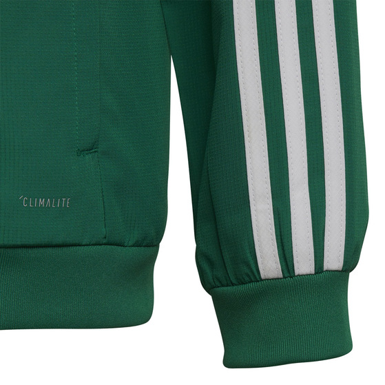 Bluza dla dzieci adidas Tiro 19 Presentation Jacket JUNIOR zielona DW4790