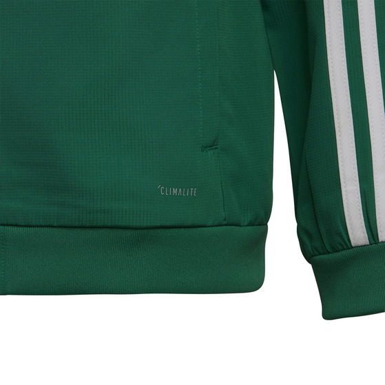 Bluza dla dzieci adidas Tiro 19 Presentation Jacket JUNIOR zielona DW4790