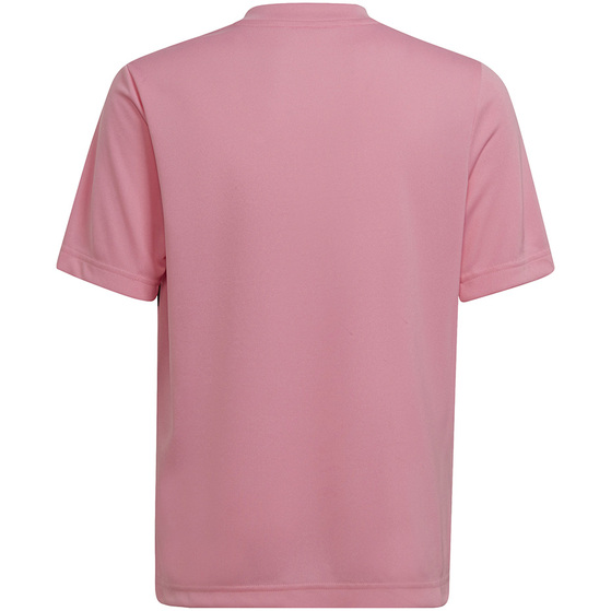 Koszulka dla dzieci adidas Entrada 22 Graphic Jersey różowo-czarna HC2632