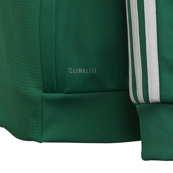 Bluza dla dzieci adidas Tiro 19 Training Jacket JUNIOR zielona DW4797