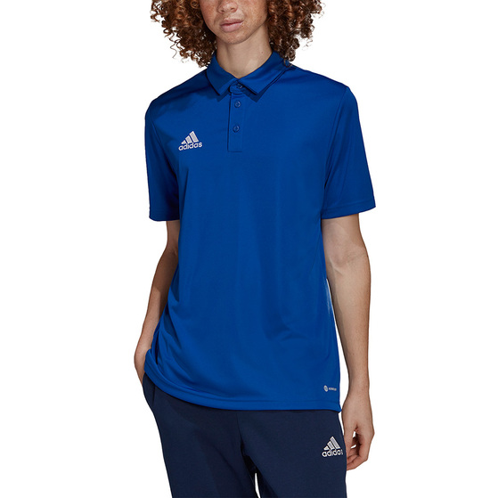 Koszulka męska adidas Entrada 22 Polo niebieska HG6285