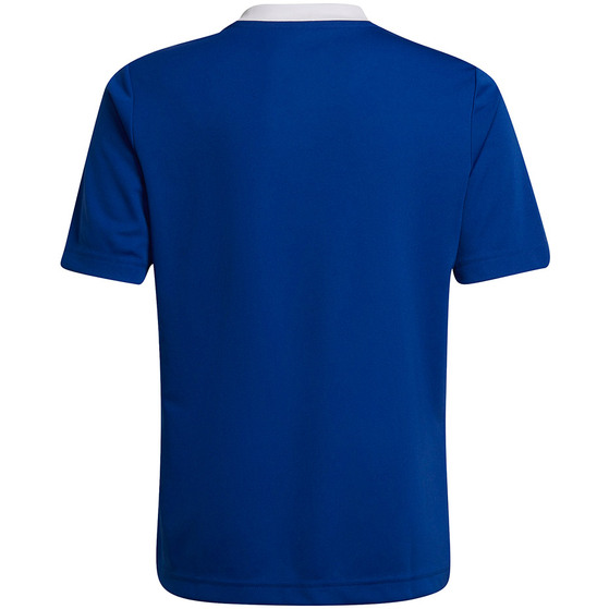 Koszulka dla dzieci adidas Entrada 22 Jsy niebieska HG3948